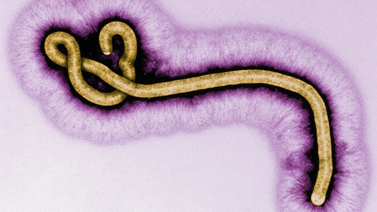 Noční zákaz vycházení v ugandských okresech reaguje na šíření eboly