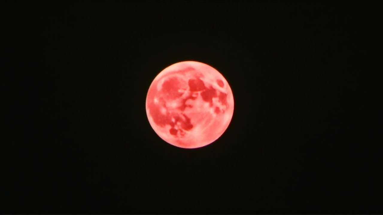 Noční podívaná, která spojuje